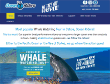 Tablet Screenshot of oceanriders.com.mx